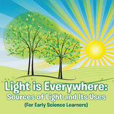 Light is Everywhere: Sources of Light and Its Uses (For Early Learners) -  Baby Professor