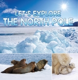 Let's Explore the North Pole -  Baby Professor