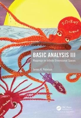 Basic Analysis III - James K. Peterson