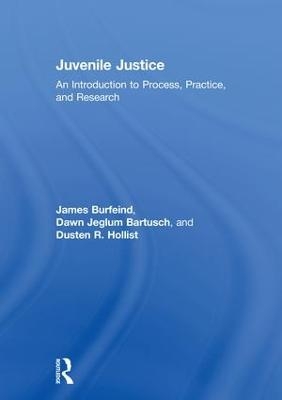 Juvenile Justice - James Burfeind, Dawn Jeglum Bartusch, Dusten R. Hollist