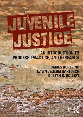 Juvenile Justice - James Burfeind, Dawn Jeglum Bartusch, Dusten R. Hollist