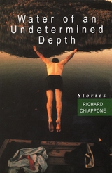 Water of an Undetermined Depth -  Richard Chiappone