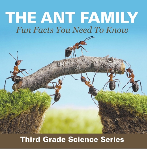 Ant Family - Fun Facts You Need To Know : Third Grade Science Series -  Baby Professor