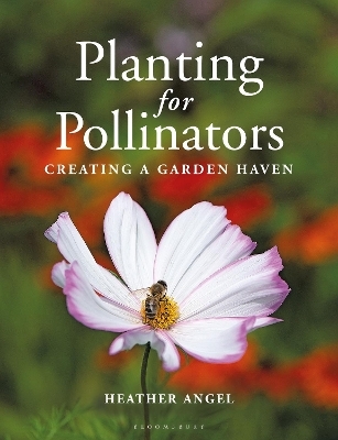 Planting for Pollinators - Ms Heather Angel