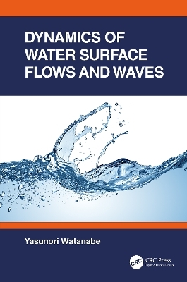 Dynamics of Water Surface Flows and Waves - Yasunori Watanabe