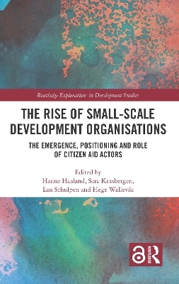 The Rise of Small-Scale Development Organisations - 