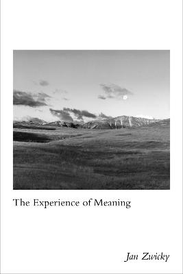 The Experience of Meaning - Jan Zwicky