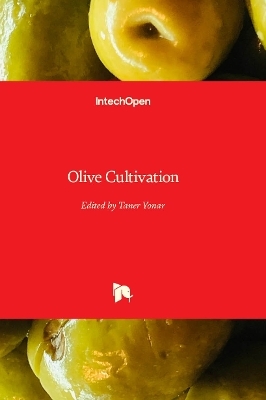 Olive Cultivation - 