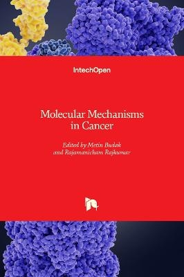 Molecular Mechanisms in Cancer - 