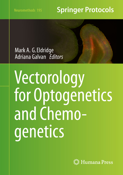 Vectorology for Optogenetics and Chemogenetics - 