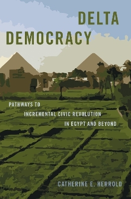 Delta Democracy - Catherine E. Herrold