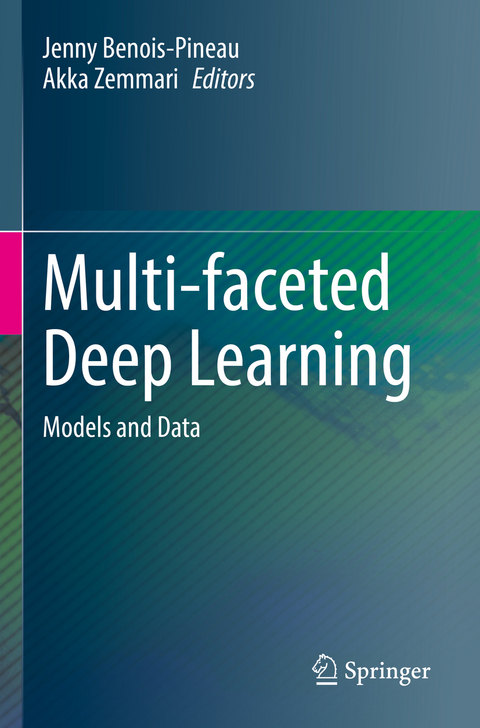 Multi-faceted Deep Learning - 