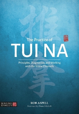 The Practice of Tui Na - Robert Aspell