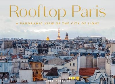 Rooftop Paris - Laurent Dequick