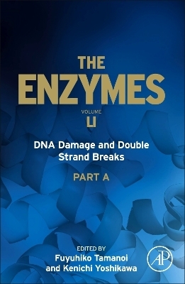 DNA Damage and Double Strand Breaks - 