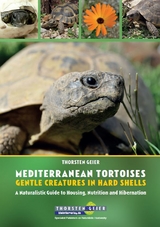 Mediterranean Tortoises: Gentle Creatures in Hard Shells - Thorsten Geier