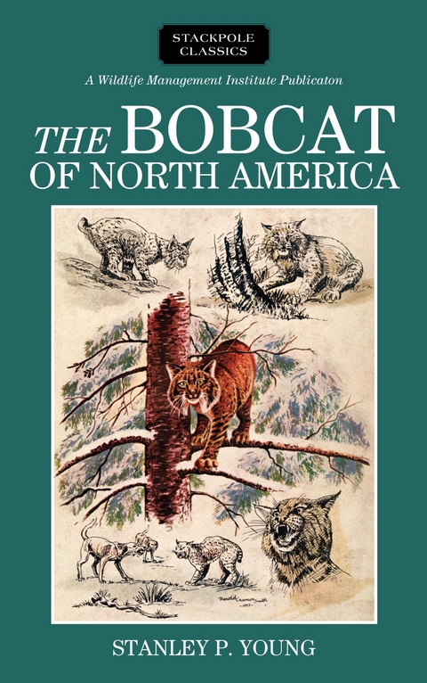 Bobcat of North America -  Stanley P. Young