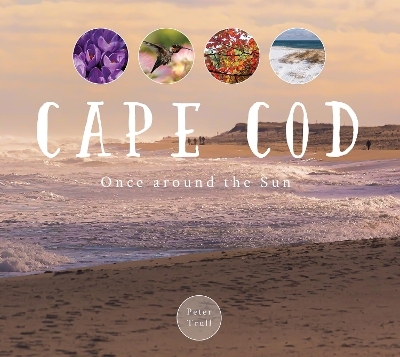 Cape Cod - Peter Trull