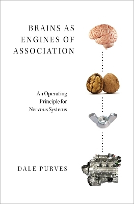 Brains as Engines of Association - Dale Purves