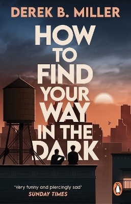 How to Find Your Way in the Dark - Derek B. Miller