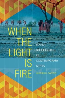 When the Light Is Fire - Heather D. Switzer