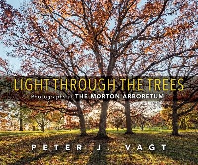 Light Through the Trees - Peter J. Vagt