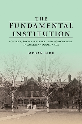 The Fundamental Institution - Megan Birk