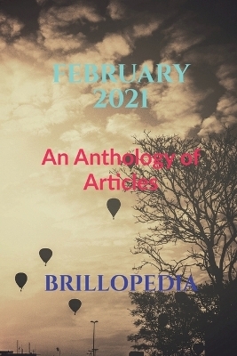 February 2021 -  Brillopedia