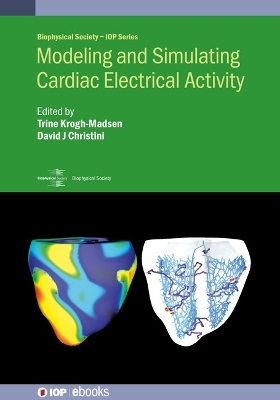 Modeling and Simulating Cardiac Electrical Activity - 