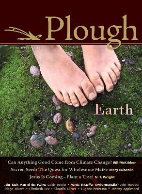 Plough Quarterly No. 4 - Bill McKibben, Eugene H. Peterson, N. T. Wright, Elizabeth Lev, Calvin DeWitt