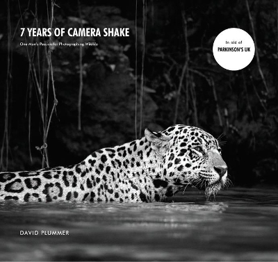 7 Years of Camera Shake - David Plummer