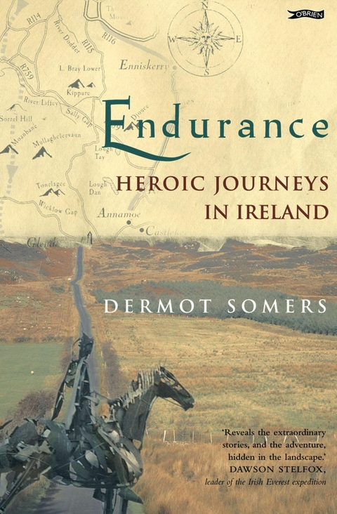 Endurance -  Dermot Somers