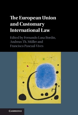 The European Union and Customary International Law - 