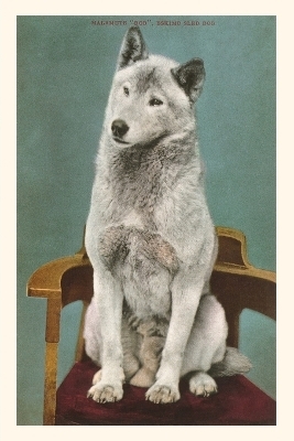 Vintage Journal Malamute on Chair