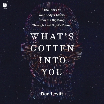 What's Gotten Into You - Dan Levitt