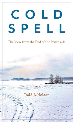 Cold Spell - Todd R. Nelson