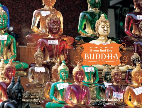 If You Find the Buddha - 