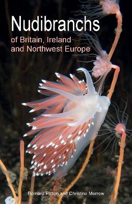 Nudibranchs of Britain, Ireland and Northwest Europe - Bernard Picton, Christine Morrow