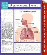 Respiratory System (Speedy Study Guides) -  Speedy Publishing