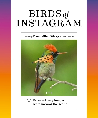 Birds of Instagram - 