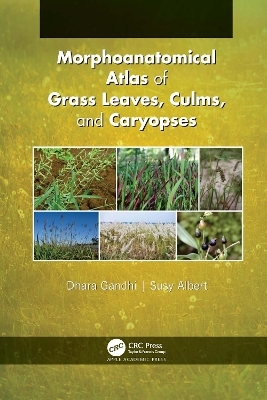 Morphoanatomical Atlas of Grass Leaves, Culms, and Caryopses - Dhara Gandhi, Susy Albert