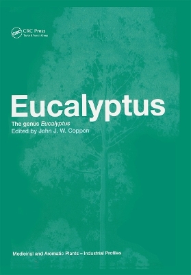 Eucalyptus - 