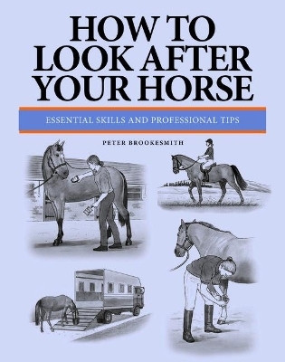 How To Look After Your Horse - Peter Brookesmith