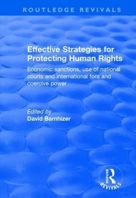 Effective Strategies for Protecting Human Rights - 