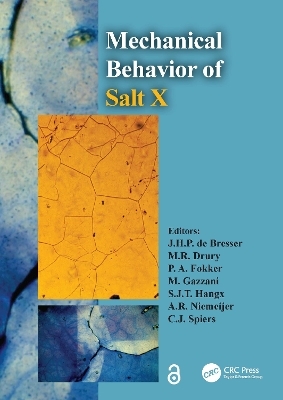 The Mechanical Behavior of Salt X - 