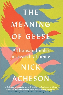 The Meaning of Geese - Nick Acheson