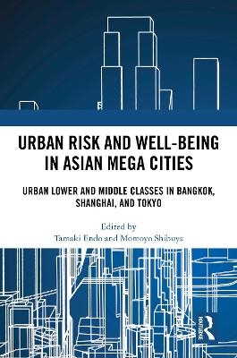 Urban Risk and Well-being in Asian Megacities - 