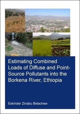 Estimating Combined Loads of Diffuse and Point-Source Pollutants Into the Borkena River, Ethiopia - Eskinder Belachew