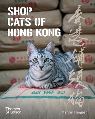 Shop Cats of Hong Kong - Marcel Heijnen