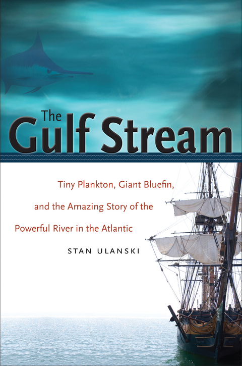 Gulf Stream -  Stan Ulanski